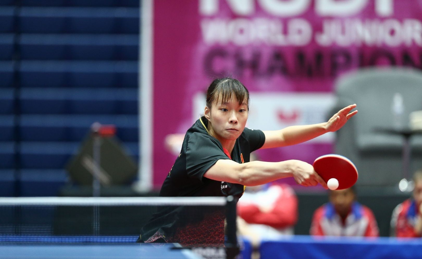 绝对会庆祝 绝对会庆祝